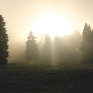 Daily Gospel Reflection DGR