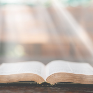 Daily Gospel Reflection DGR