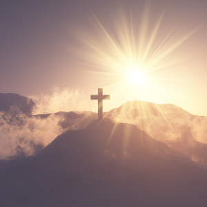 Daily Gospel Reflection DGR