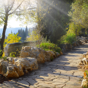 Daily Gospel Reflection DGR