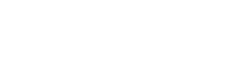 dfv project words white